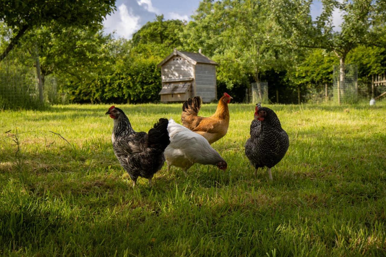 Gutchpool Farm Bed & Breakfast Gillingham  Bagian luar foto