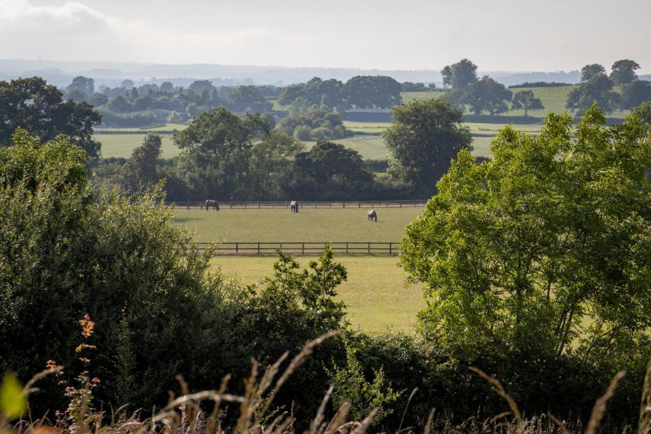 Gutchpool Farm Bed & Breakfast Gillingham  Bagian luar foto