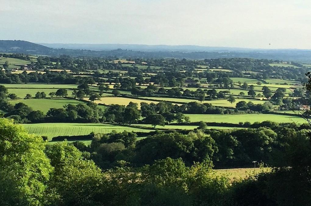 Gutchpool Farm Bed & Breakfast Gillingham  Bagian luar foto